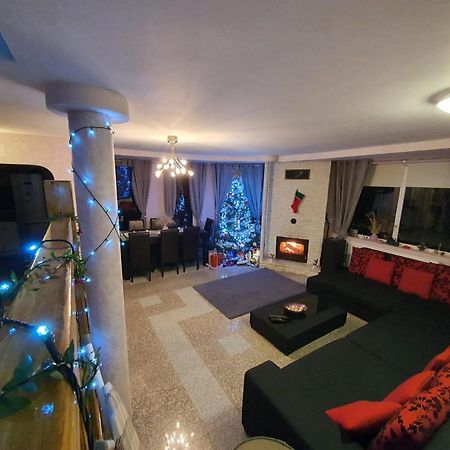 Lidia House Daire Alba Iulia Dış mekan fotoğraf