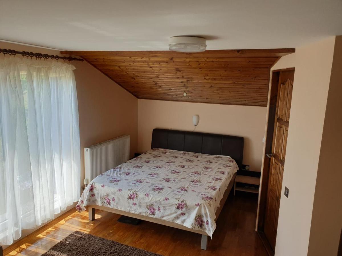 Lidia House Daire Alba Iulia Dış mekan fotoğraf