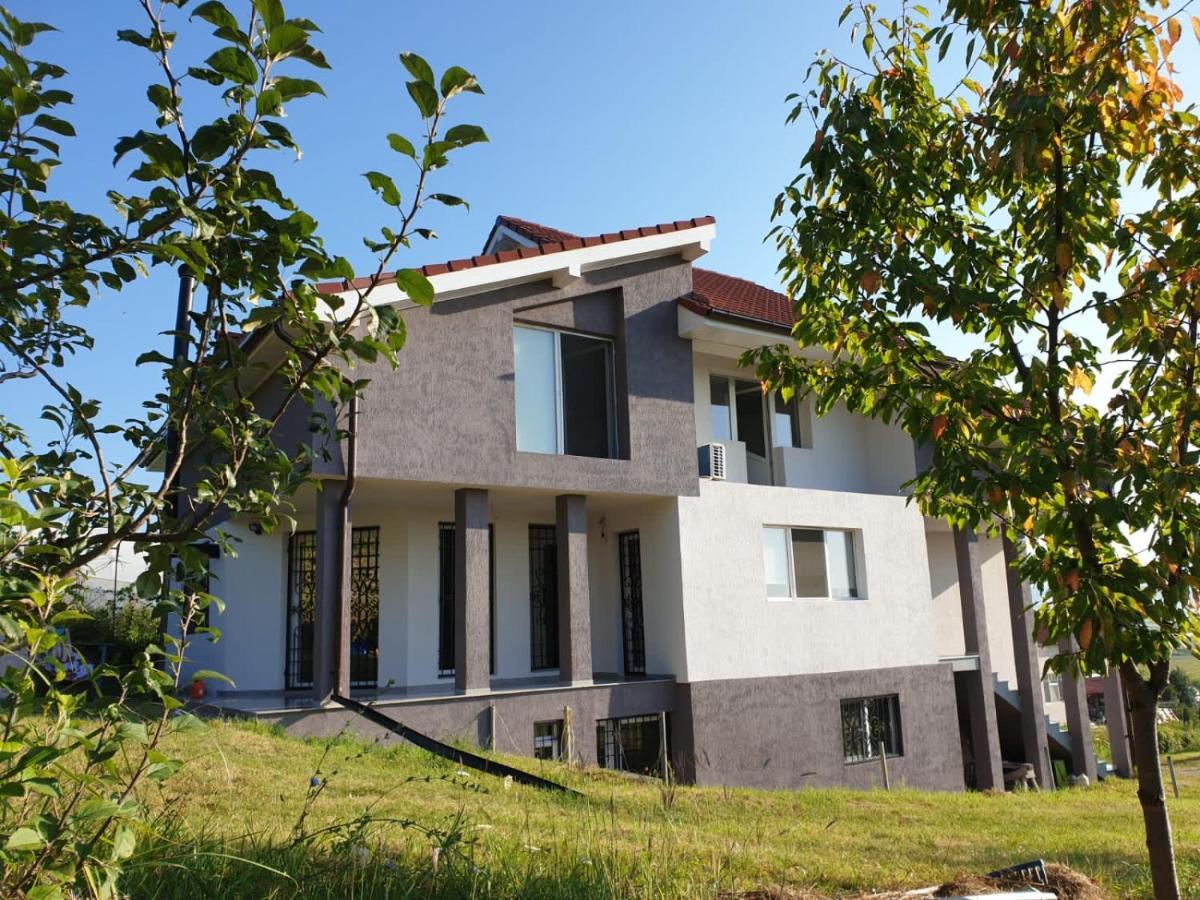 Lidia House Daire Alba Iulia Dış mekan fotoğraf