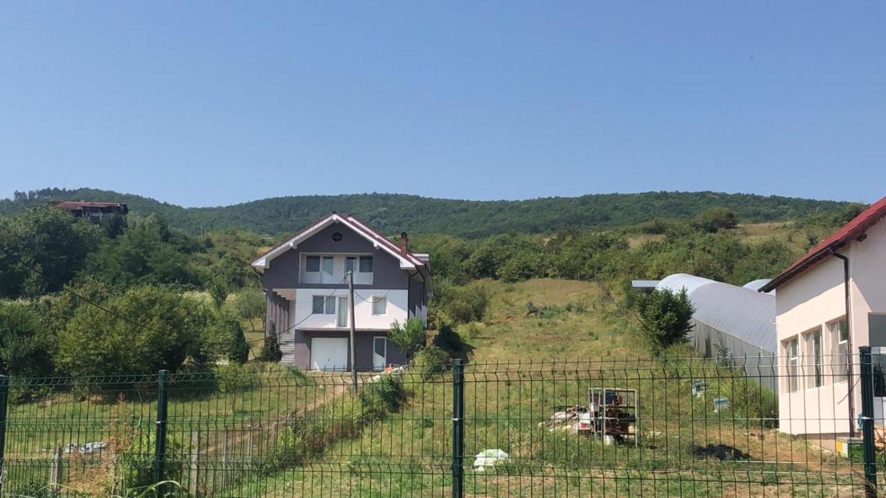 Lidia House Daire Alba Iulia Dış mekan fotoğraf