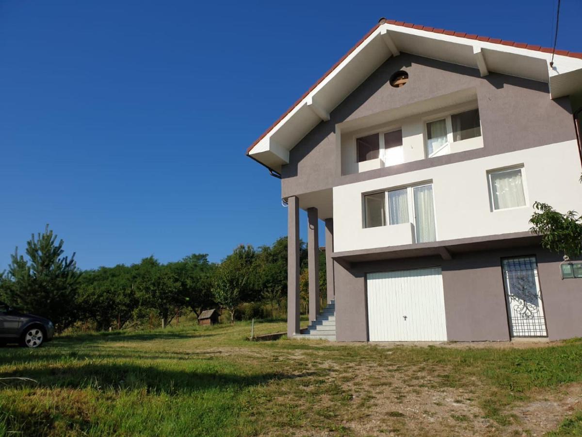 Lidia House Daire Alba Iulia Dış mekan fotoğraf