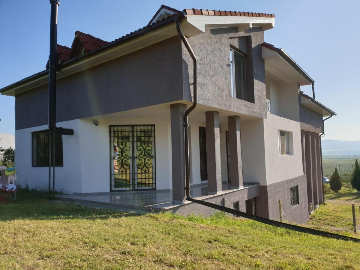 Lidia House Daire Alba Iulia Dış mekan fotoğraf