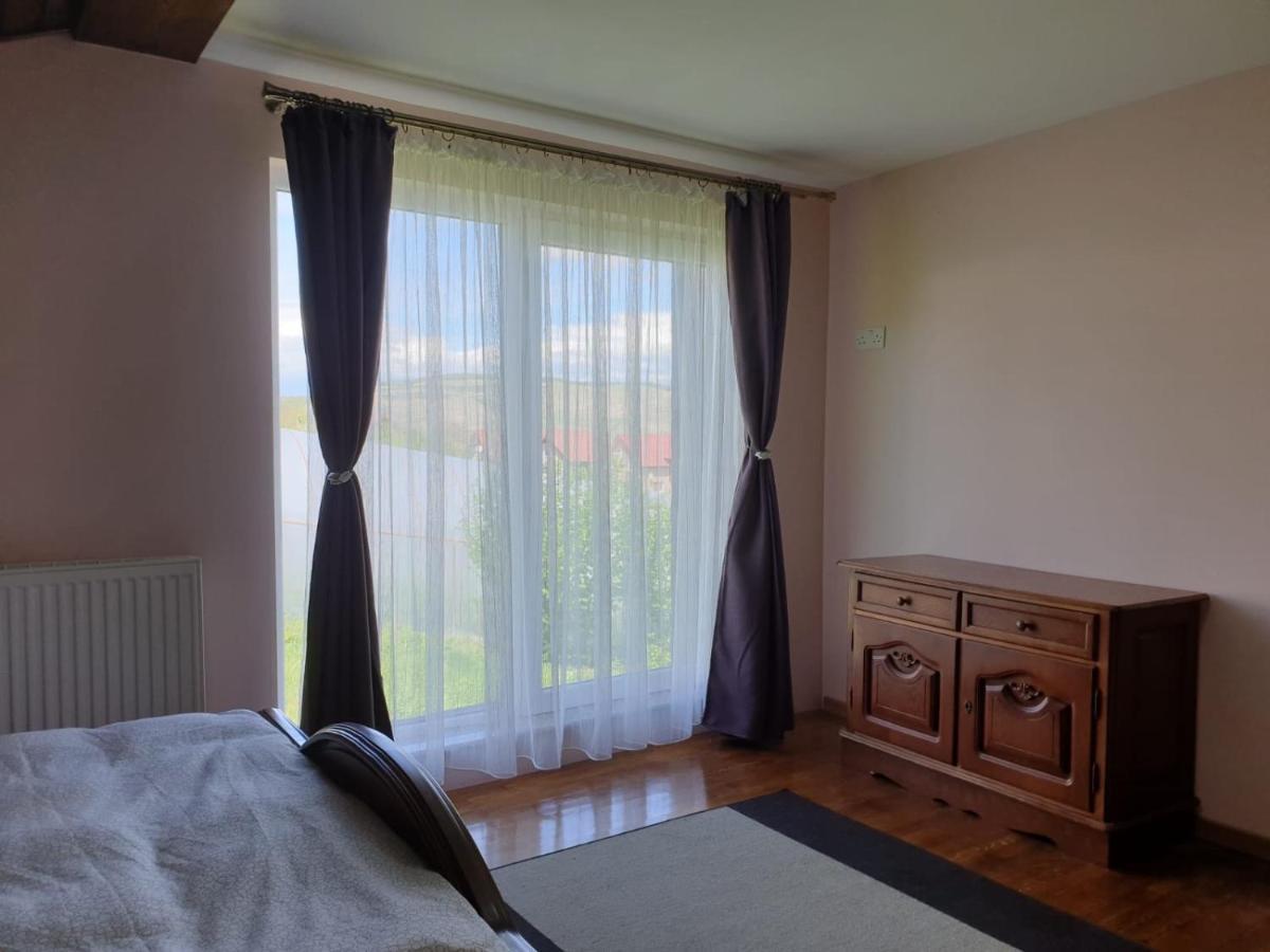 Lidia House Daire Alba Iulia Dış mekan fotoğraf