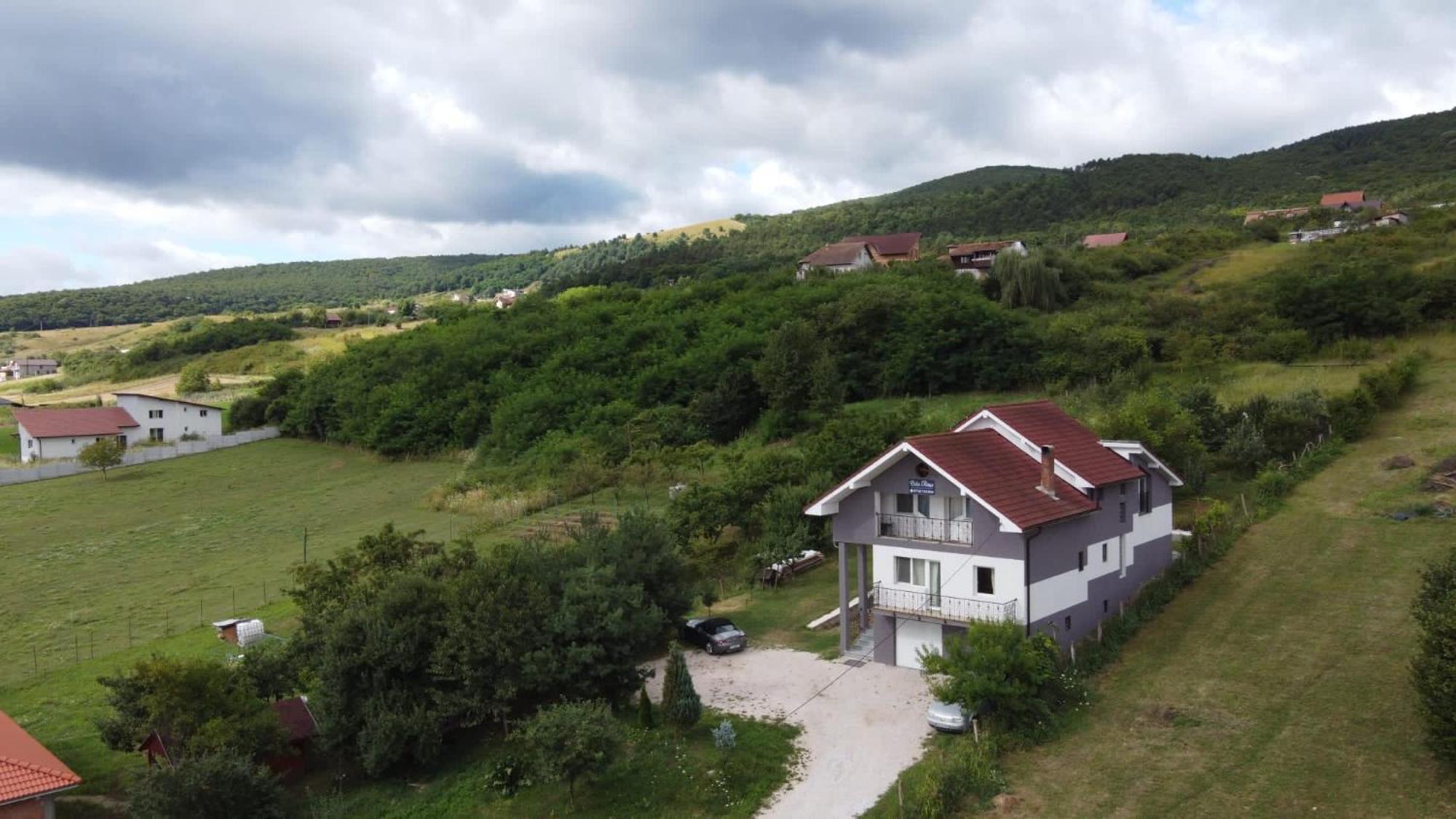 Lidia House Daire Alba Iulia Dış mekan fotoğraf