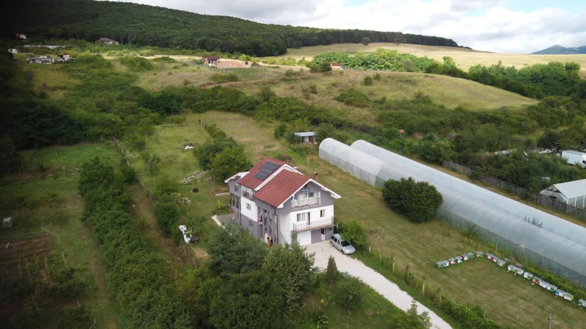 Lidia House Daire Alba Iulia Dış mekan fotoğraf